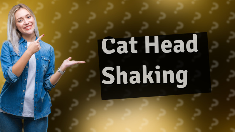 Cat Head Shaking