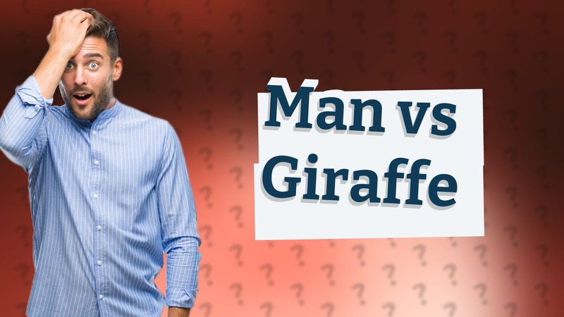 Man vs Giraffe