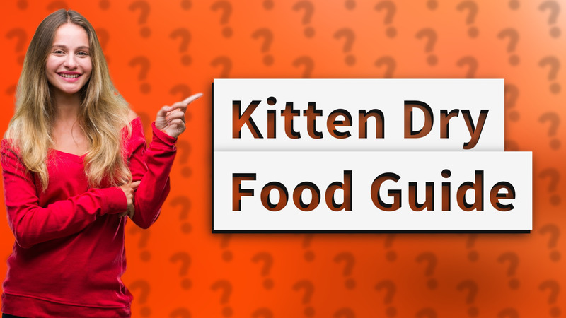 Kitten Dry Food Guide