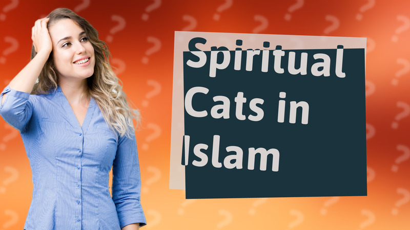 Spiritual Cats in Islam