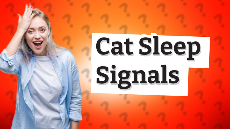 Cat Sleep Signals