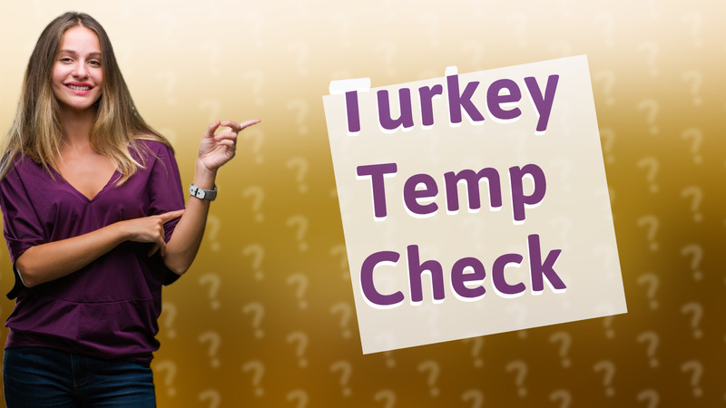 Turkey Temp Check