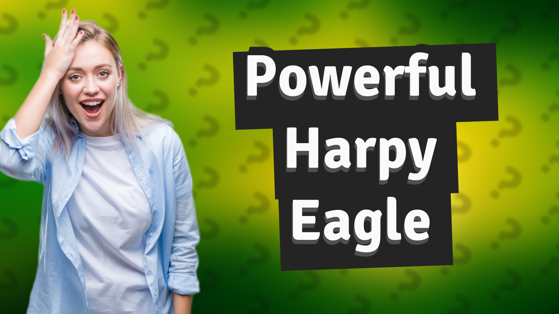 Powerful Harpy Eagle