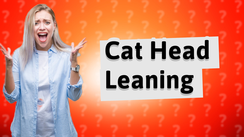 Cat Head Leaning