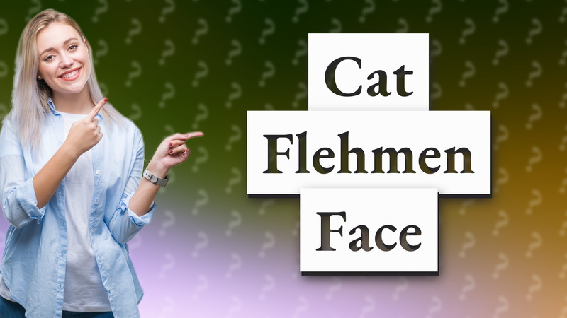 Cat Flehmen Face