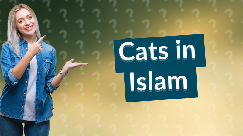 Cats in Islam