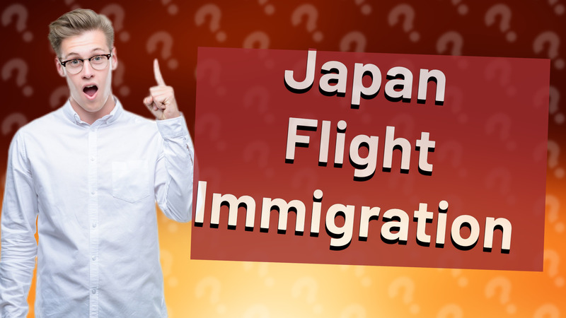 Japan Flight Immigration