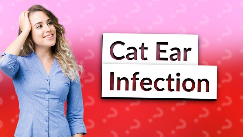 Cat Ear Infection