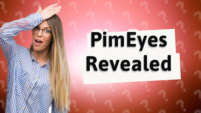 PimEyes Revealed