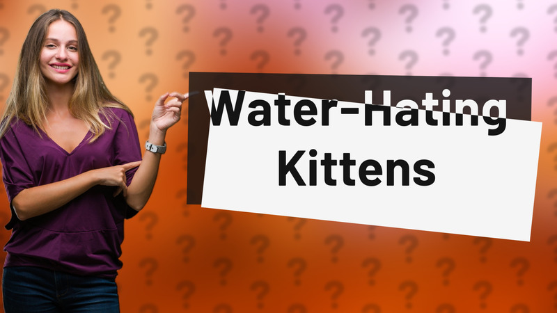 Water-Hating Kittens