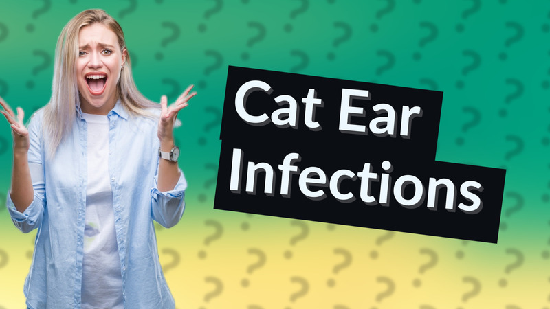 Cat Ear Infections