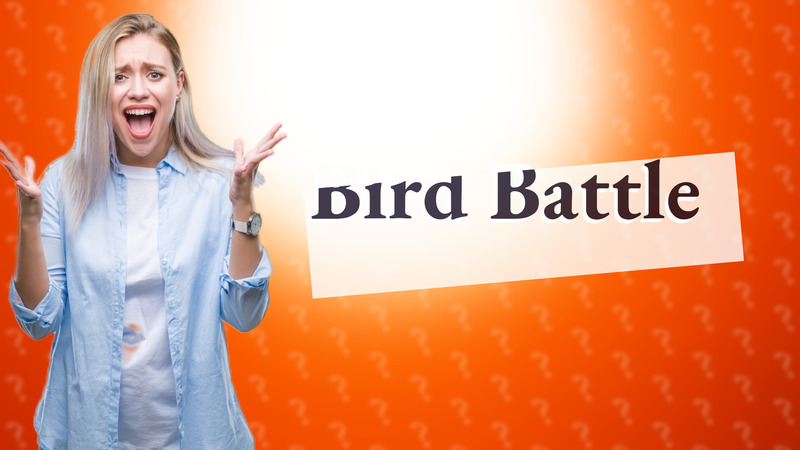Bird Battle