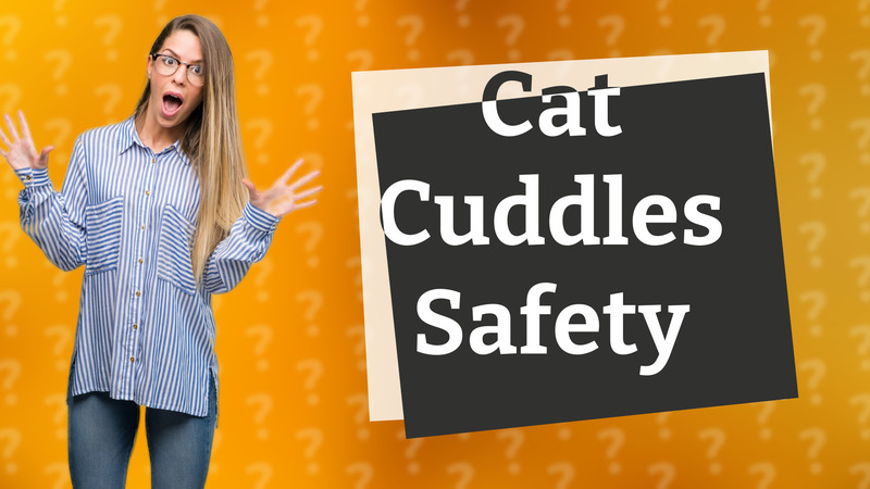 Cat Cuddles Safety