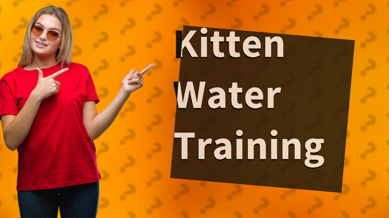 Kitten Water Training