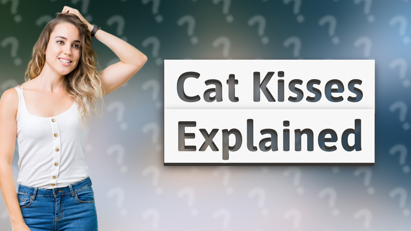 Cat Kisses Explained