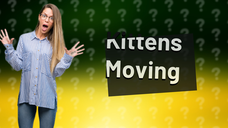 Kittens Moving