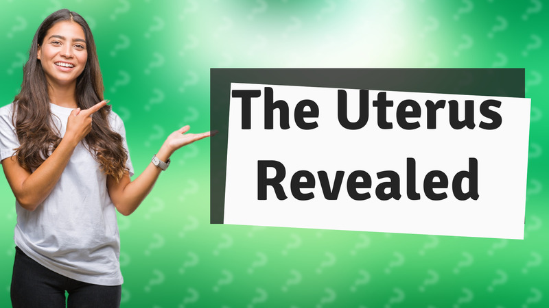 The Uterus Revealed