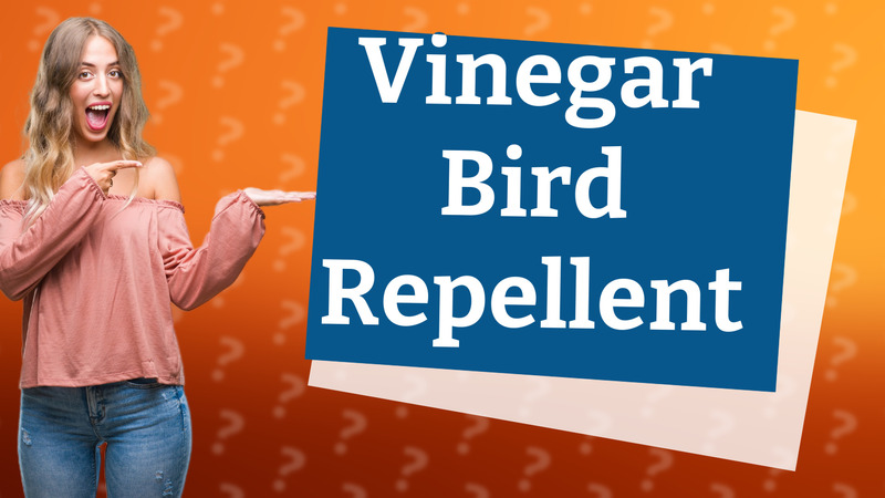 Vinegar Bird Repellent