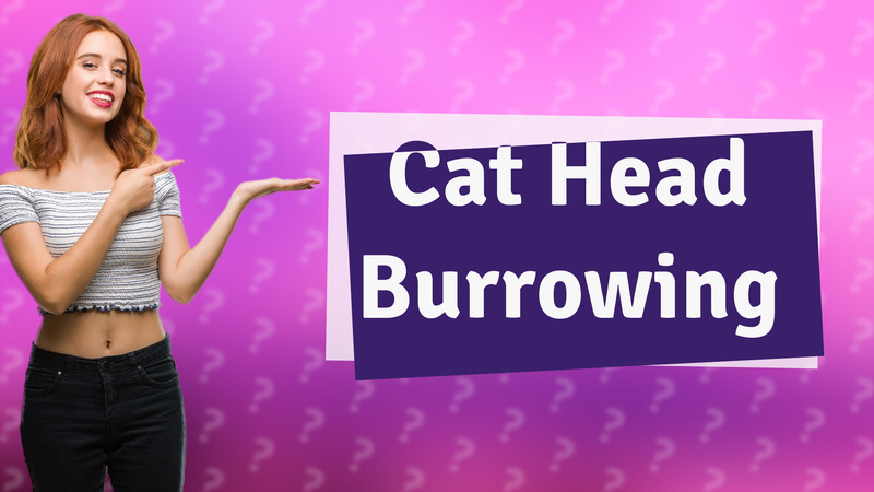 Cat Head Burrowing