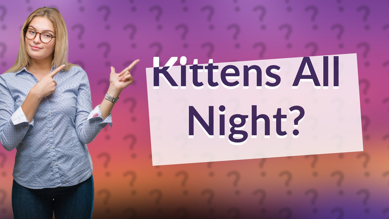 Kittens All Night?