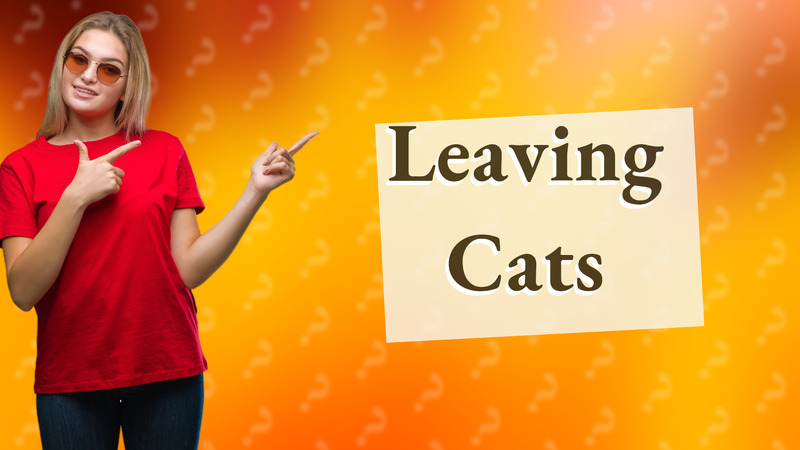 Leaving Cats