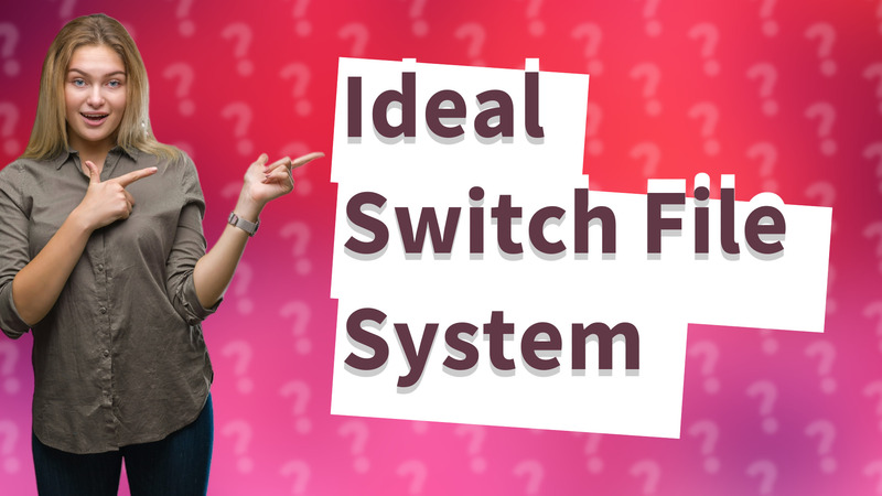 Ideal Switch File System