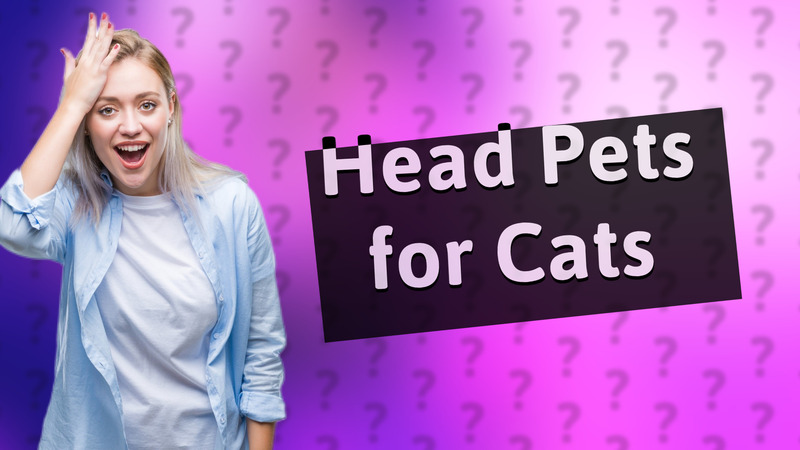 Head Pets for Cats