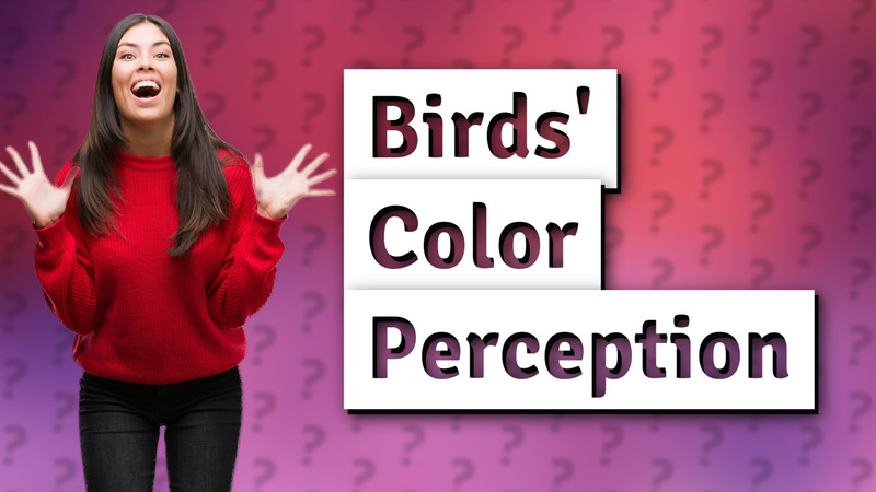 Birds' Color Perception