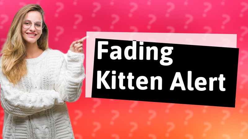 Fading Kitten Alert
