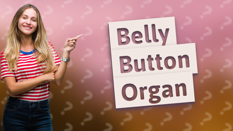 Belly Button Organ