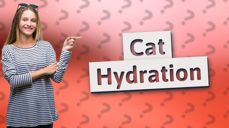 Cat Hydration