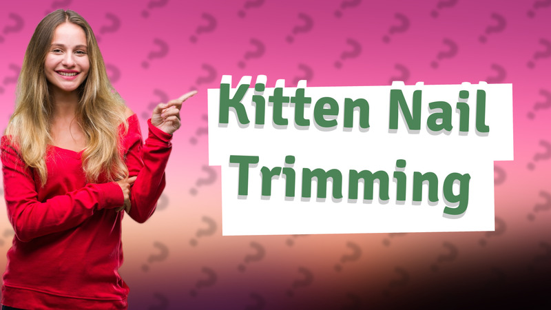 Kitten Nail Trimming