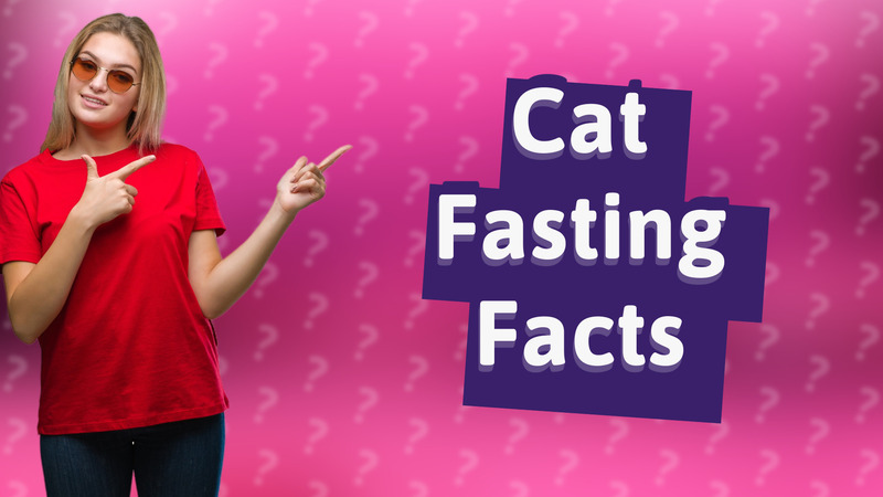Cat Fasting Facts