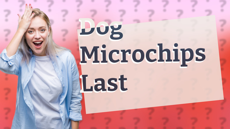 Dog Microchips Last