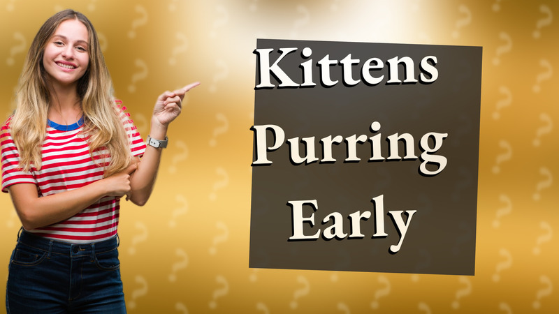 Kittens Purring Early