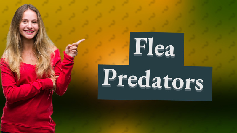 Flea Predators