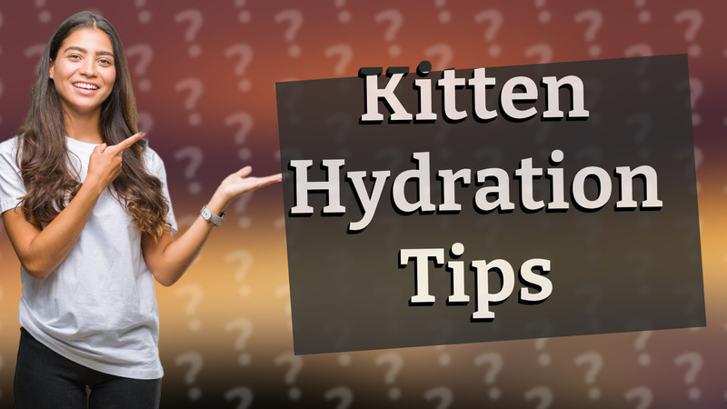 Kitten Hydration Tips