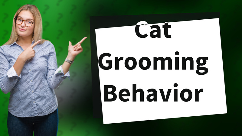Cat Grooming Behavior
