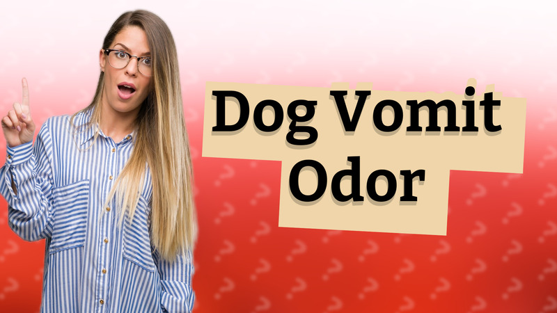 Dog Vomit Odor