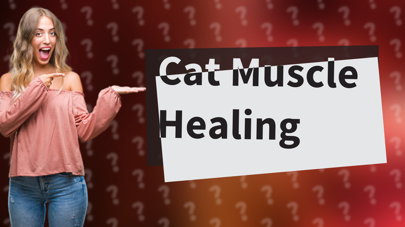 Cat Muscle Healing