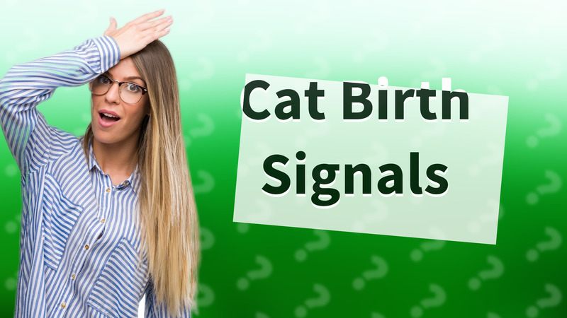 Cat Birth Signals