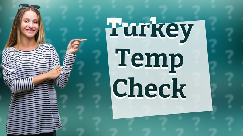Turkey Temp Check