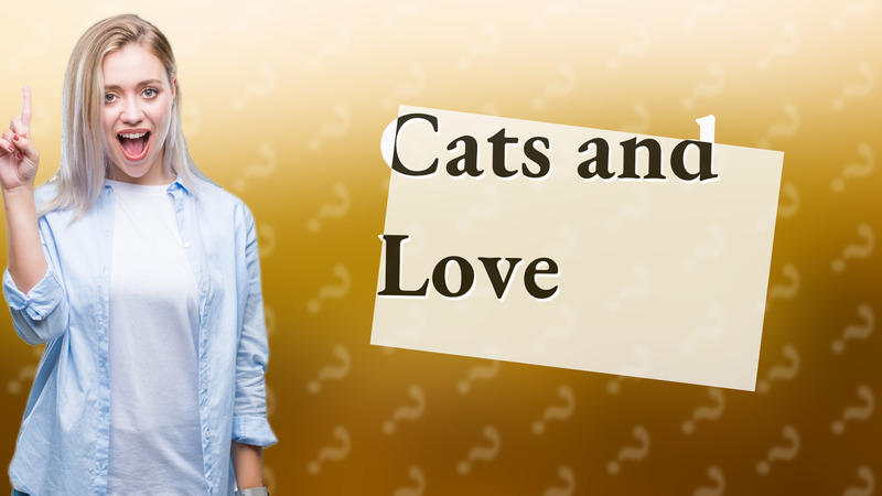 Cats and Love