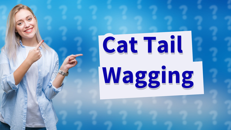 Cat Tail Wagging