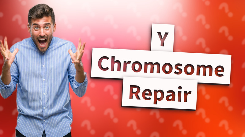 Y Chromosome Repair