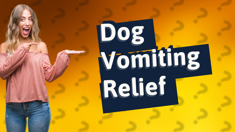 Dog Vomiting Relief