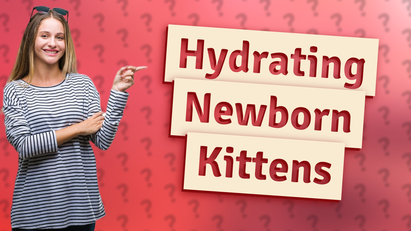 Hydrating Newborn Kittens