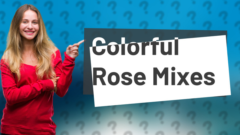 Colorful Rose Mixes