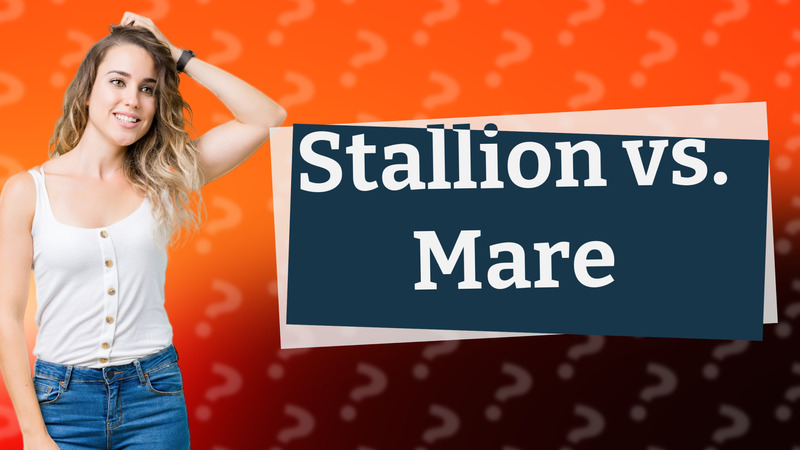 Stallion vs. Mare