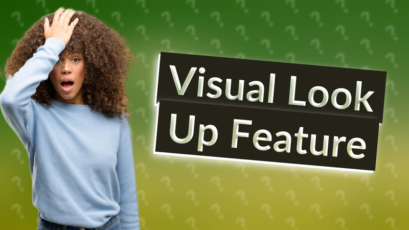 Visual Look Up Feature